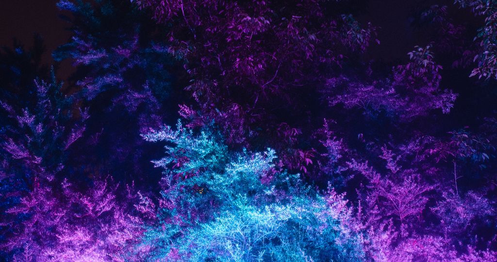 wallpaper_10