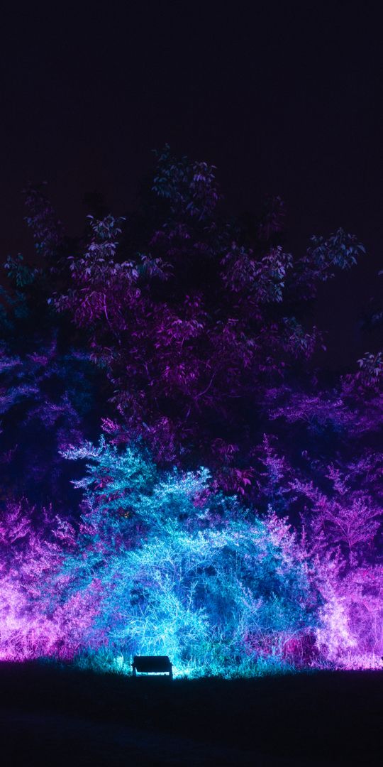 wallpaper_10